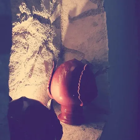 بيت للعطل La Dello Zahir